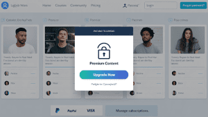 features-to-look-for-membership-plugin
